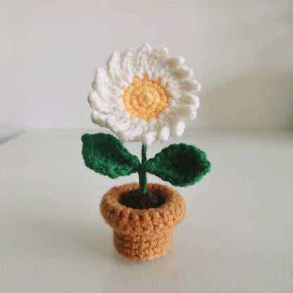Combo 3 The Little Flower Crochet Pattern