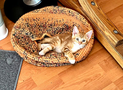 Combo 3-in-1 Cat Pod Crochet Pattern