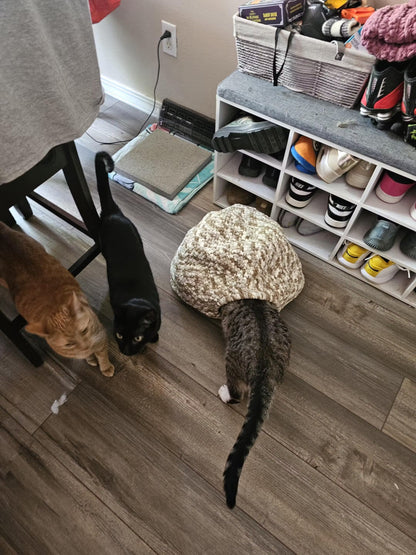 Combo 3-in-1 Cat Pod Crochet Pattern