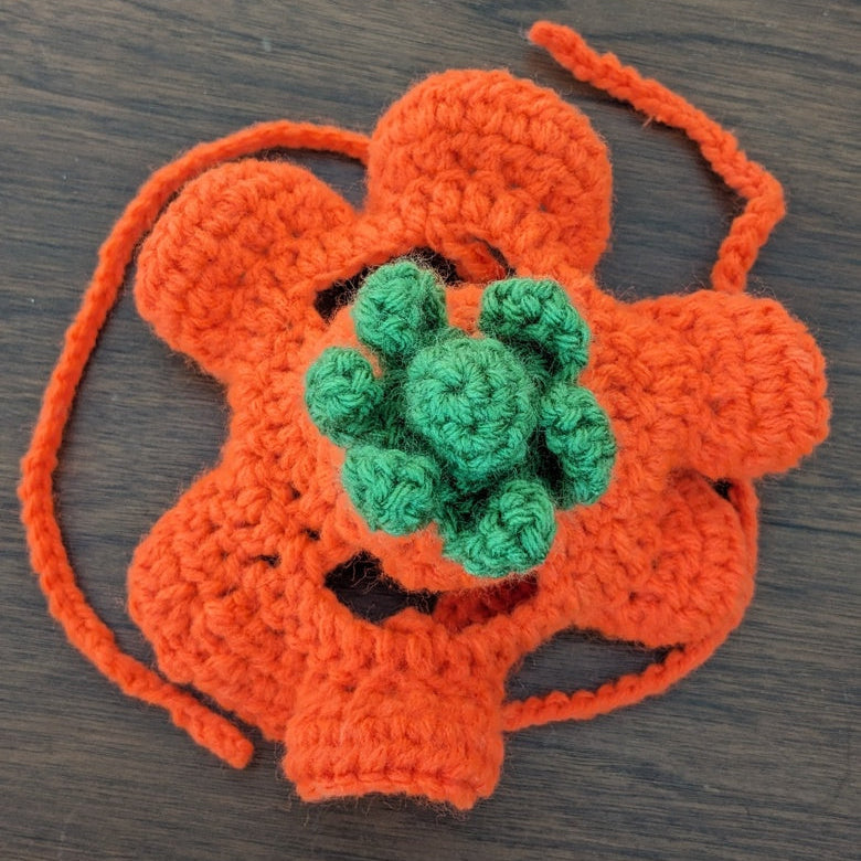 Cat Flower Hat Crochet Pattern