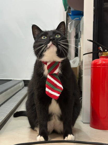 Handmade Holiday Pet Collection