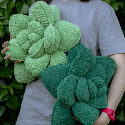 Plant Pillow Crochet Pattern