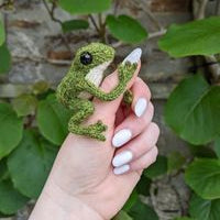 Frog Cool Knitting Pattern