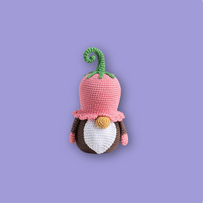 Combo 5 in 1 Flower Gnomes Crochet Pattern