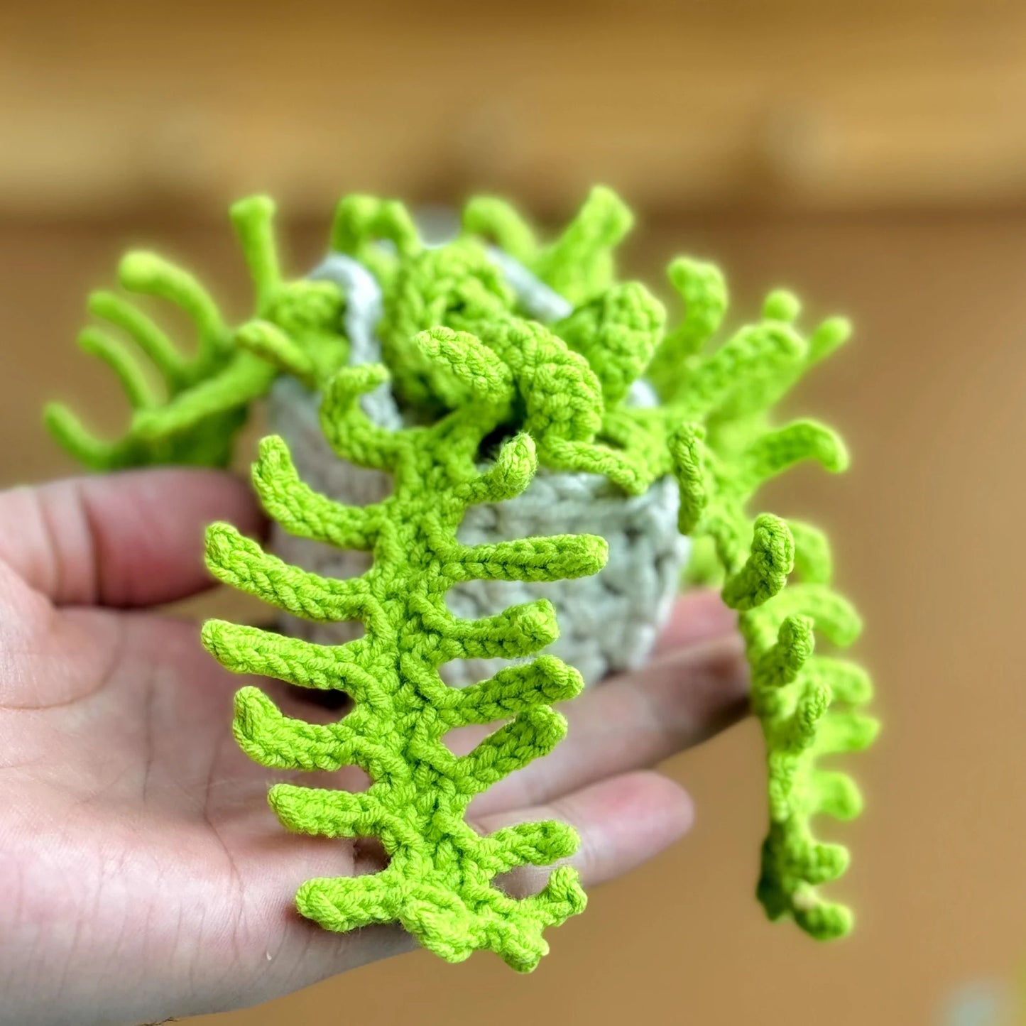 Fern Plant Crochet Pattern