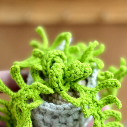 Fern Plant Crochet Pattern