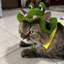 Frog Hat Crochet Pattern