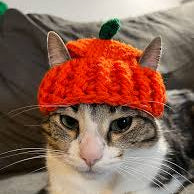 Pumpkin Cat Hat Crochet Pattern