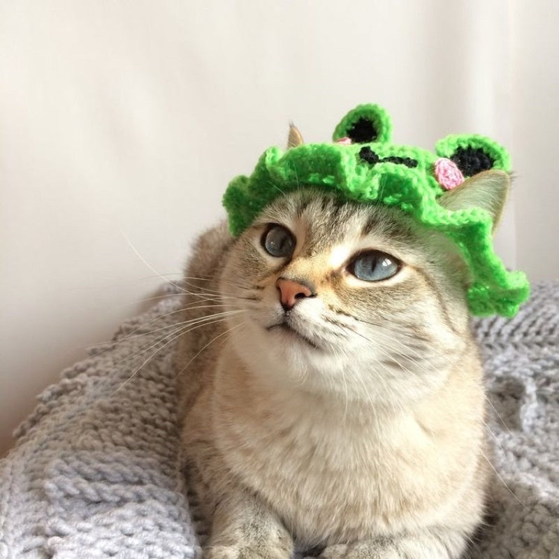 Frog Hat Crochet Pattern