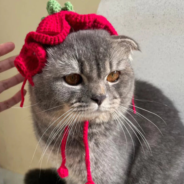 Tomato Cat Beanie Crochet Pattern