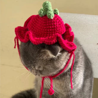 Tomato Cat Beanie Crochet Pattern