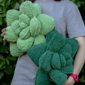 Plant Pillow Crochet Pattern