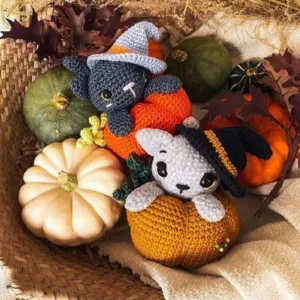 Cat in The Pumpkin Crochet Pattern Set